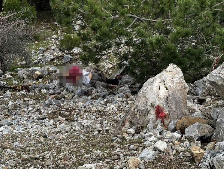 Define Vahsetinde 4 Tutuklama 642320 710Efbfe748D361924Fce6A5Ce6C4695