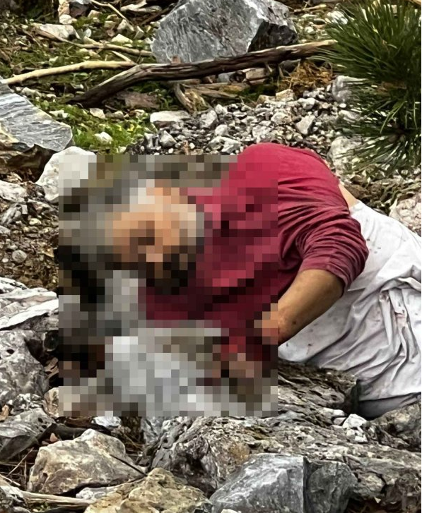 Define Vahsetinde 4 Tutuklama 642320 F07Cf51708Baa9A217342E1768731E19