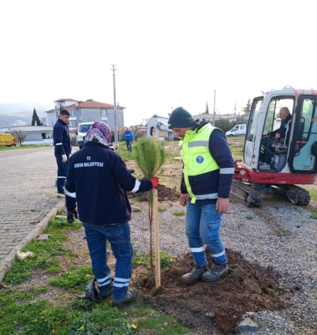 Denizkoye Yeni Cocuk Parki 638827 3095C9A70Cadbd77F647Ee38A34E12Dd