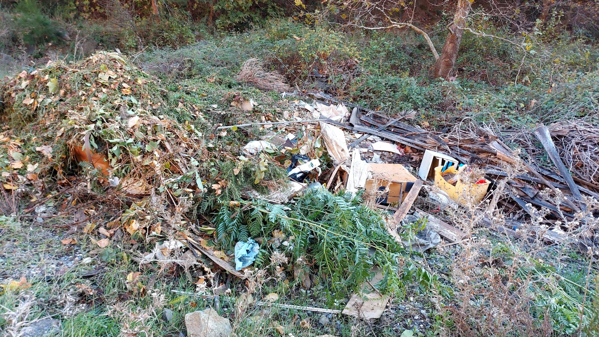 Doganin Isyani Kusadasindan Yukseldi 641642 38D23F3B8D5Dc23D933A9F99517Bbd1E