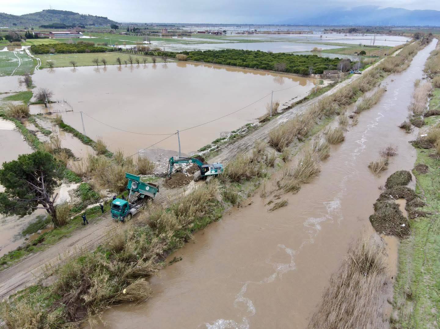 Dsiden Kritik Uyari Nehirden Uzak Durun 636816 Abcbe4466B644513C7Ead02A133Ec47A