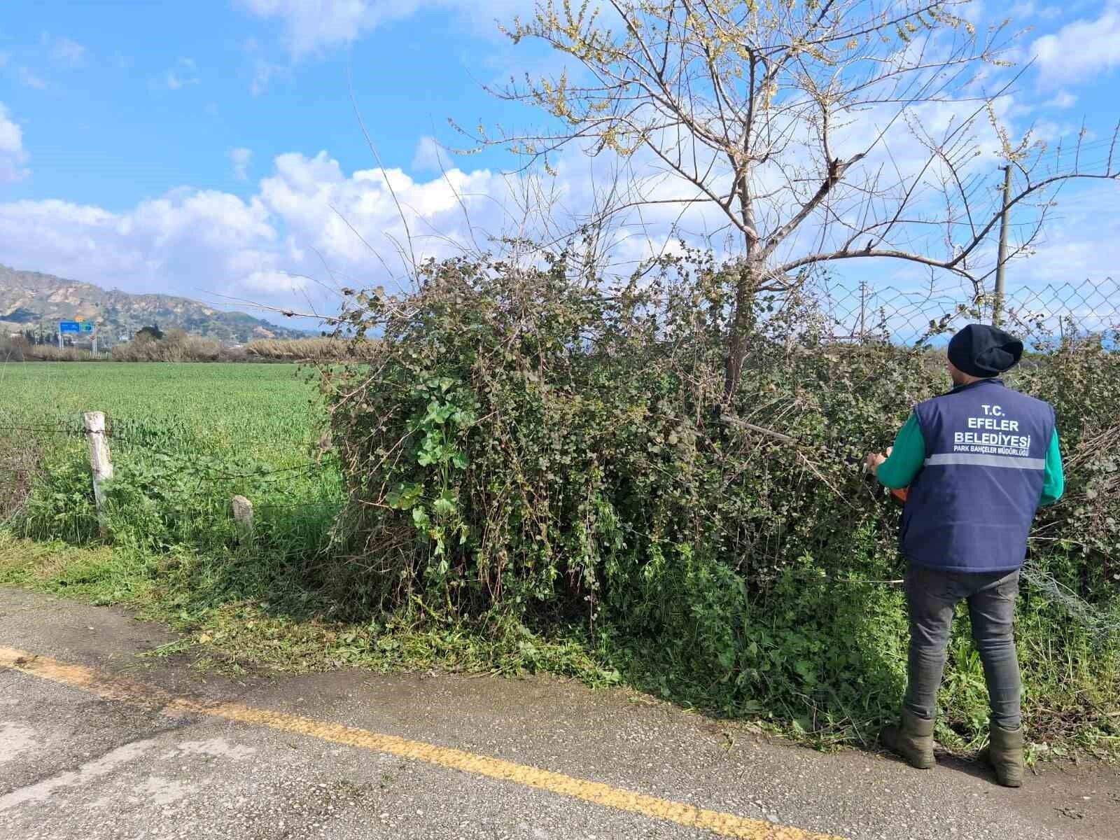 Efelerin Yesil Alanlarinda Temizlik Calismasi Suruyor Ea567F19C9Cfcd7Ed58A5Cd2F77Ff4A2