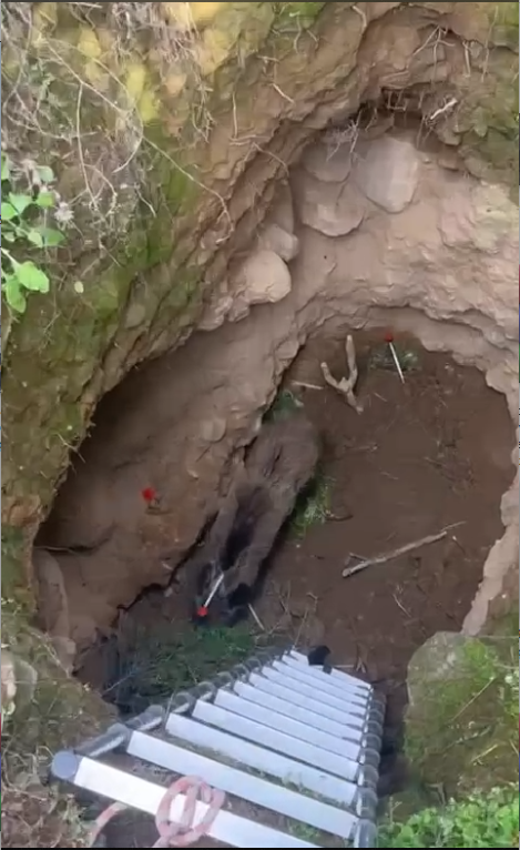 Ekran Görüntüsü 2026 02 27 152223