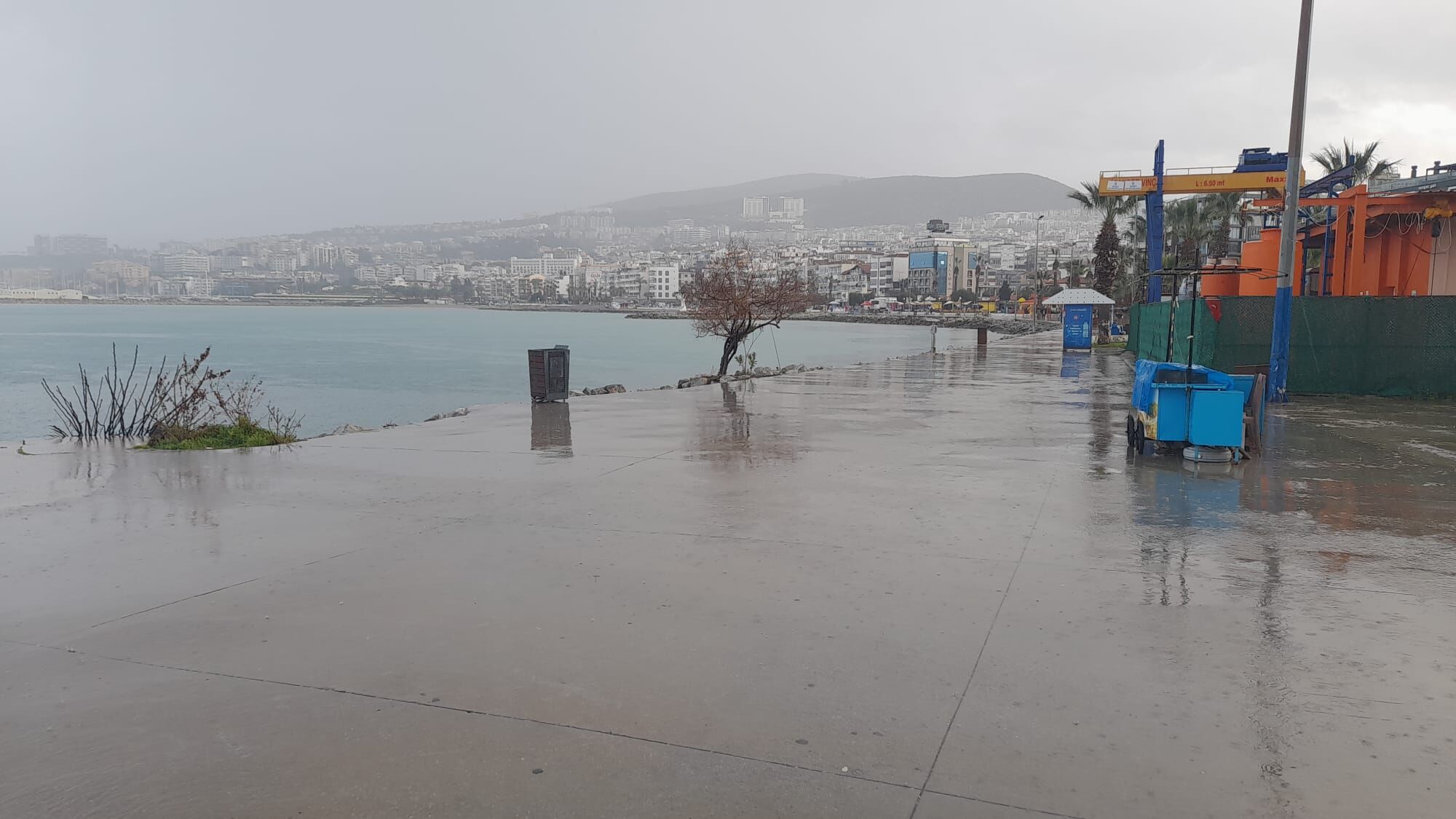 En Cok Yagis Kusadasina 642826 7Ba422C450B7C80E0Ff1889Dcc68E86C