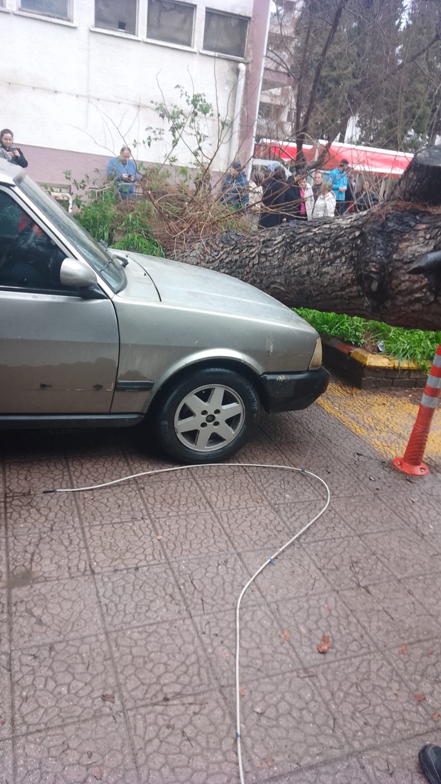 Hastane Otoparkinda Faciadan Donuldu Cam Agaci Araclarin Uzerine Devrildi 637628 6D9Fcd8A1220B316B8Ed46C9Ce33C748