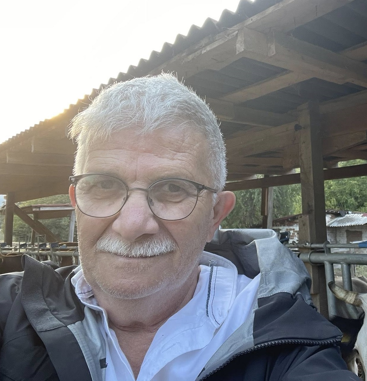 Hayvancilik Sektorunun Aci Kaybi 640665 33C47E7E92Bea10Ac815E58B7Ce0982E