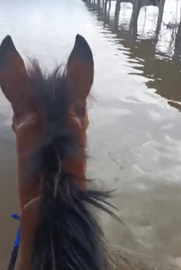 Hayvanlari Icin Canini Hice Saydi Atiyla Taskin Suyundan Gecti 641462 04C21C3489C4564Fea5Df77Dc568Dcf8