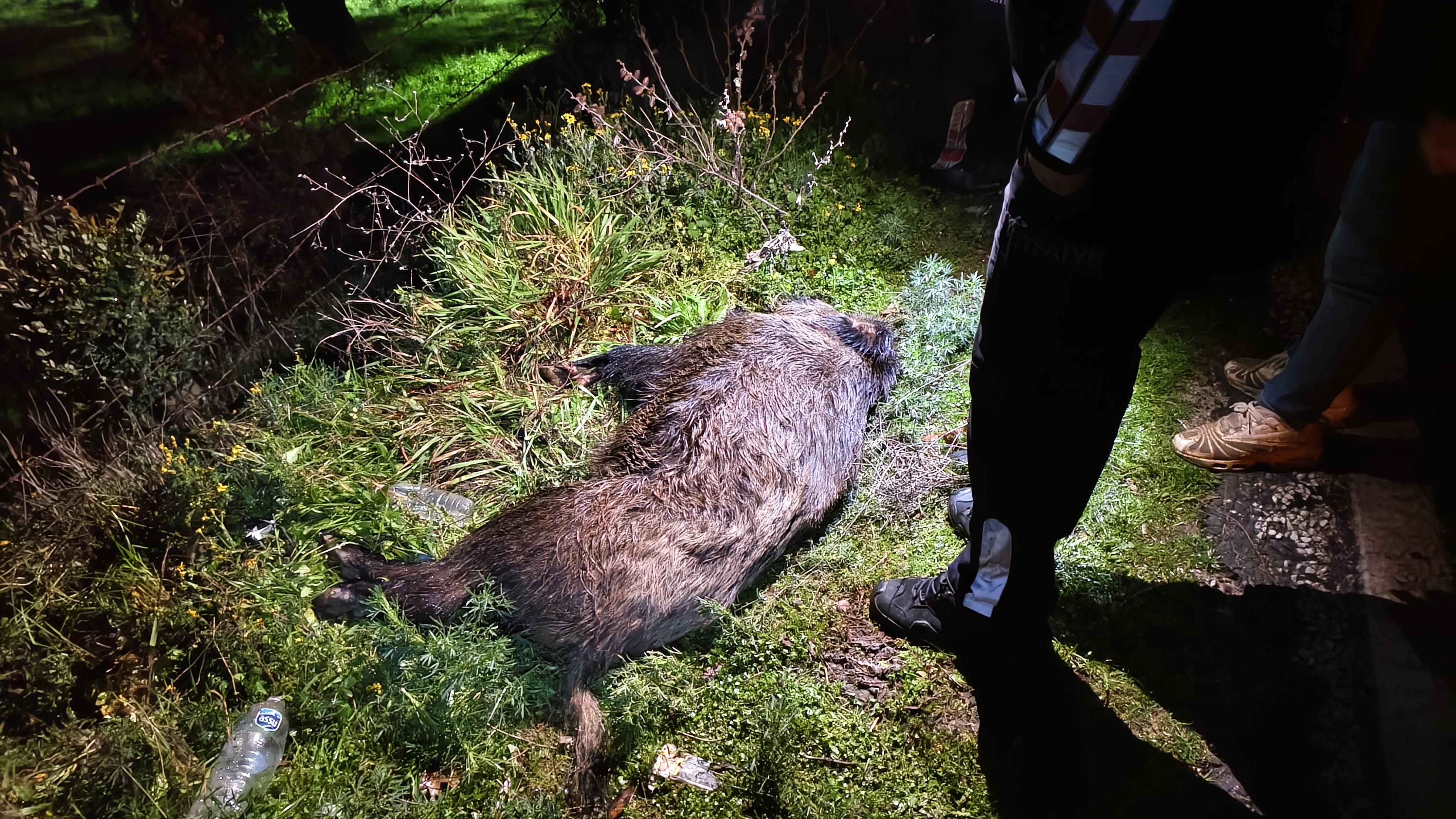 I M G 20260210 W A0046