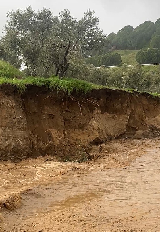 Incirliovada Zeytin Agaclari Yerinde Sokulup Suruklendi 638578 D3B2487A4Ebca5Abf86D9Fbf6Ae81E5D