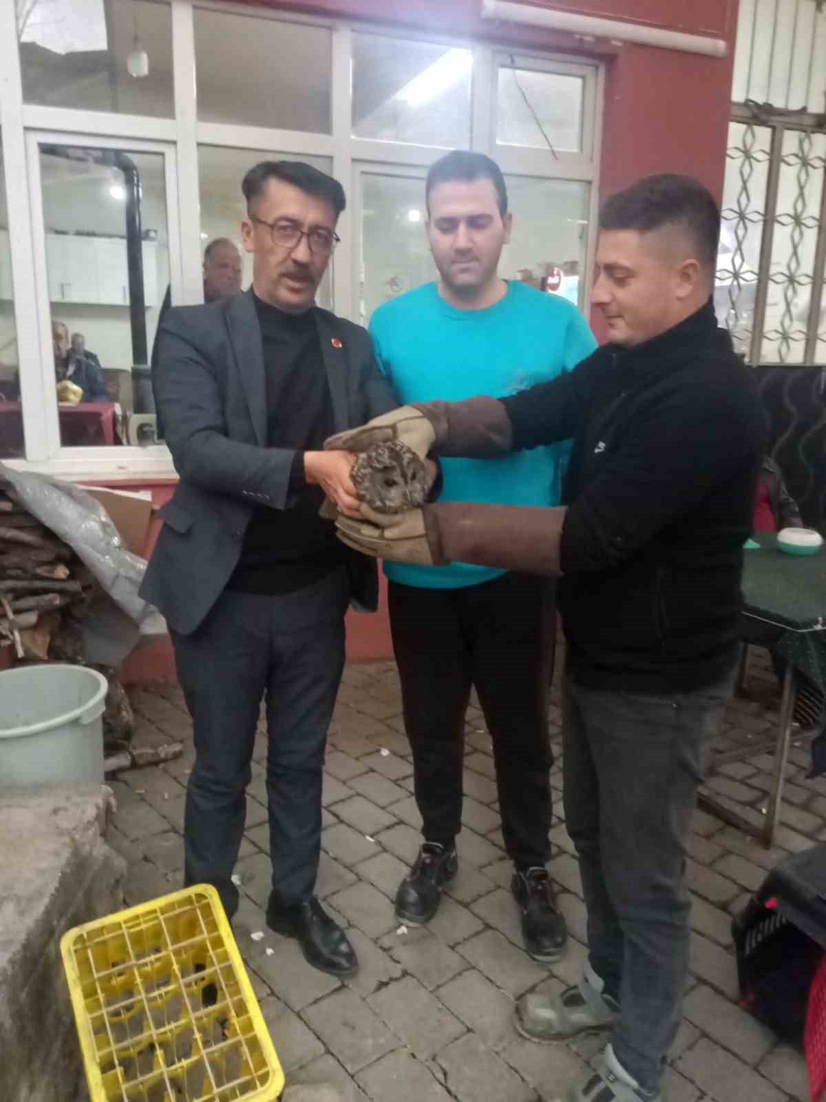 Kahvehane Camina Carpan Baykus Rehabilitasyona Alindi 5466A7201A314216434519Ffbc7D529E