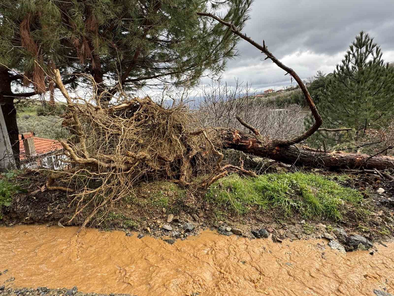 Karacasuda Asiri Yagislar Sonrasi Toprak Kaydi Agaclar Devrildi 8F2D51F80104D8D69B9C456Ca6Fc7Ccb