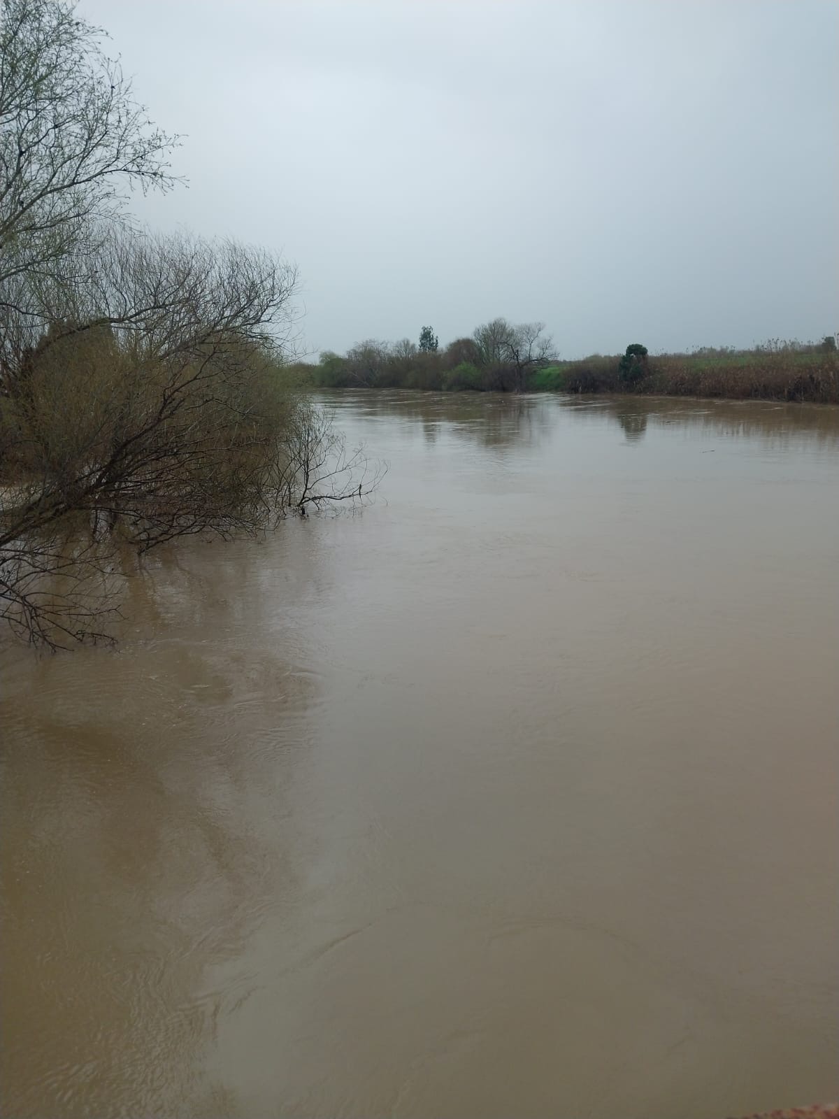 Kocarli Ovasinda Zarar 20 Bin Donumu Gecti 639331 9Db0D11A194Da6D6C7183C9E7C65Bd95