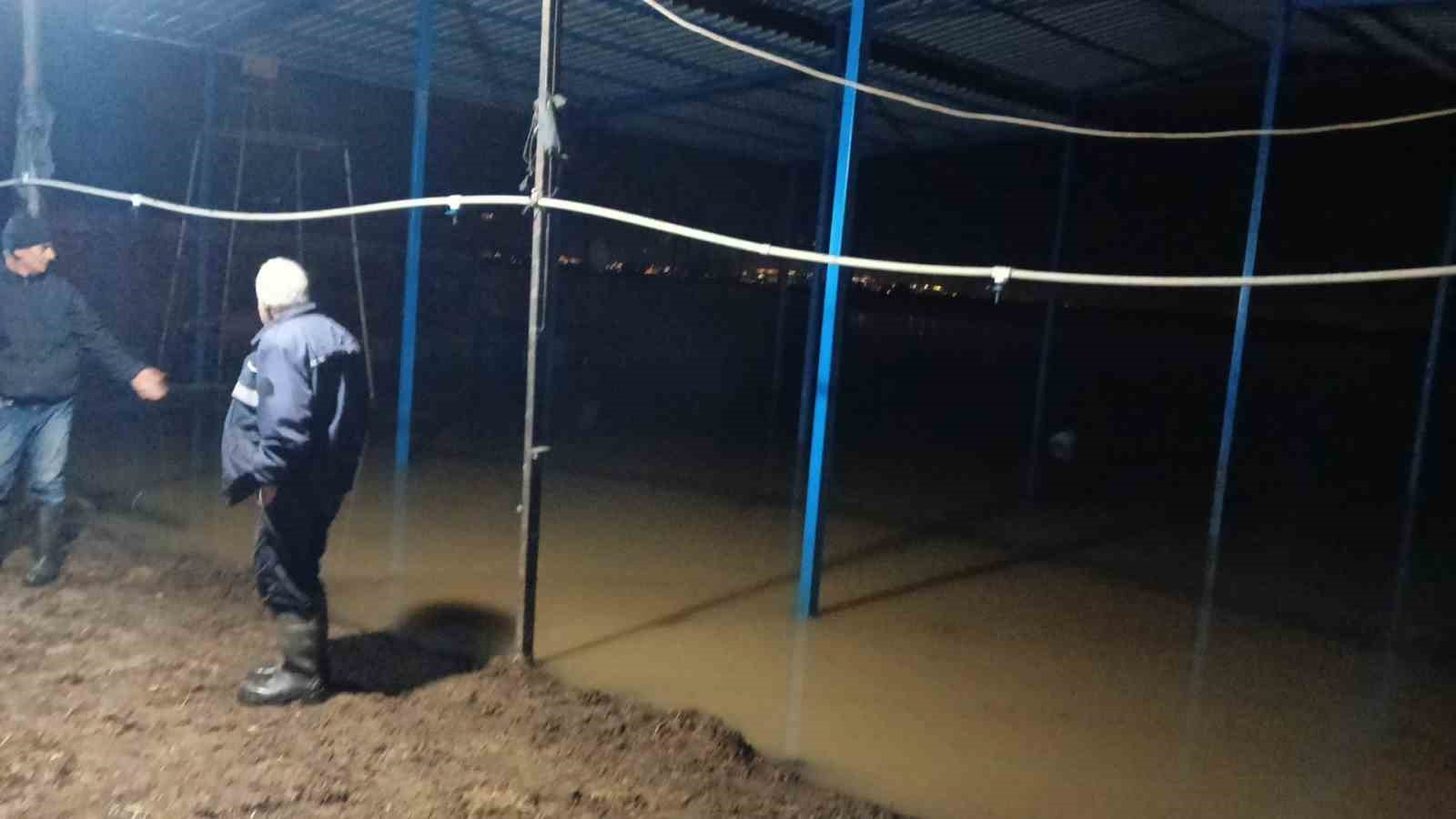 Kocarlida Su Baskini Sonrasi Hayvan Tahliyesi Suruyor Bc87490D4Ec375739Fcd94Ea0F9E0433