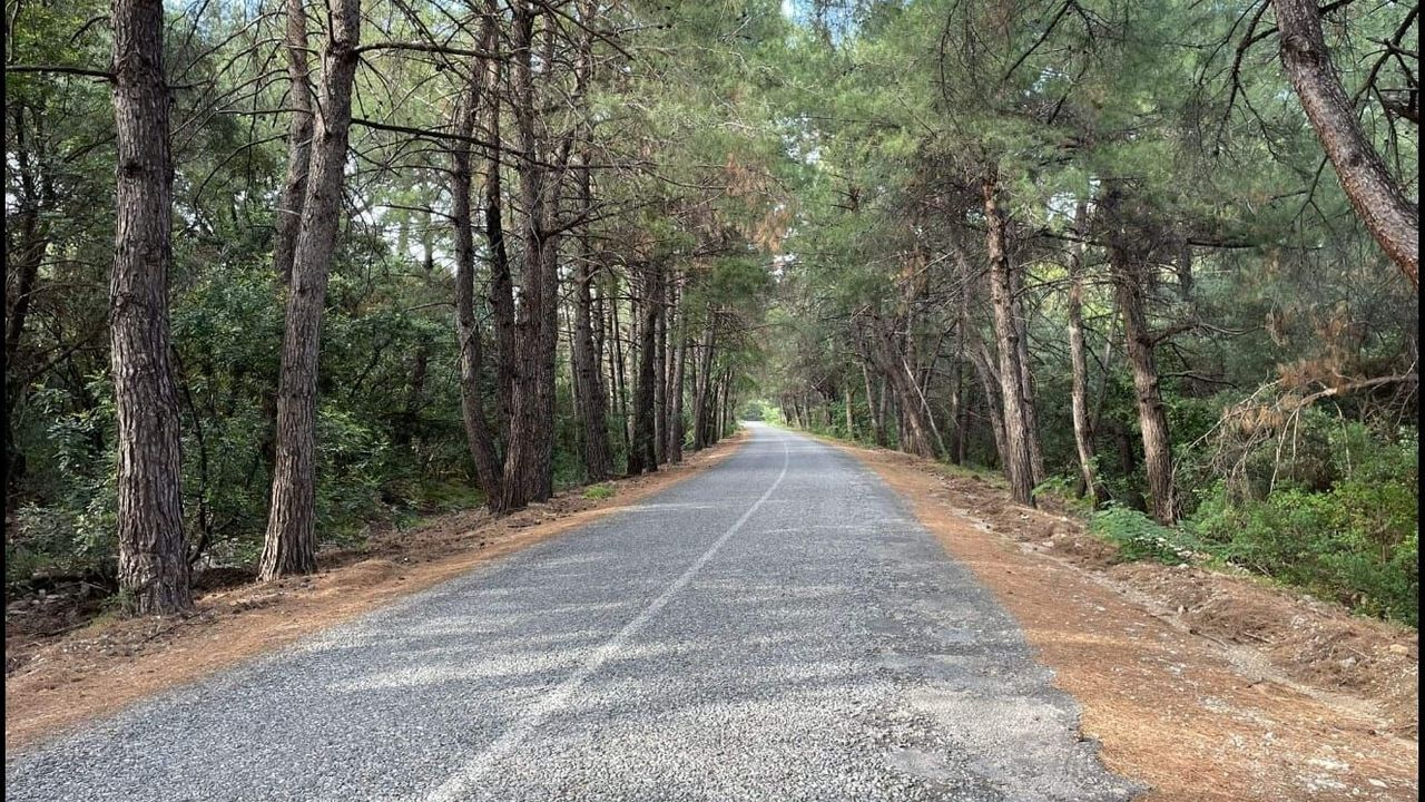 Milli Parklar Otel Yatirimlarina (4)