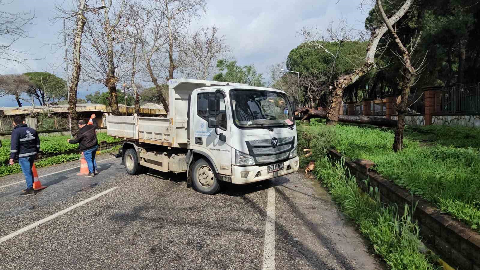 Nazillide Firtinayla Devrilen Dev Cam Agaci Karayolunu Trafige Kapadi C047463D63Ea4C5E06B1Eabb2D79240D