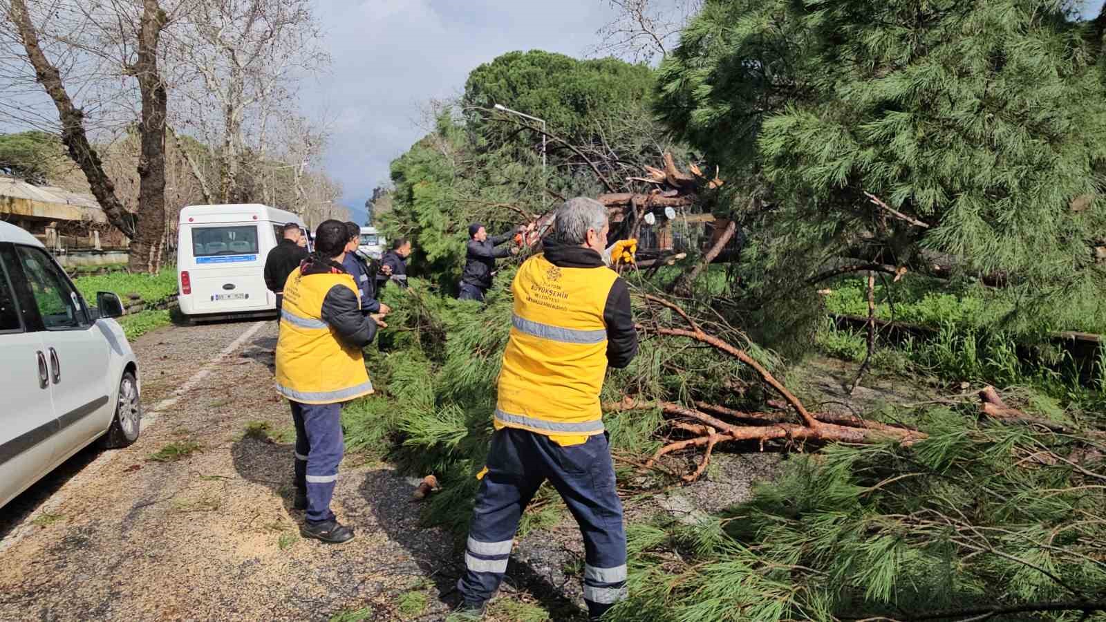 Nazillide Firtinayla Devrilen Dev Cam Agaci Karayolunu Trafige Kapadi Cf654D6Abfcbd087816D136840F317Ff