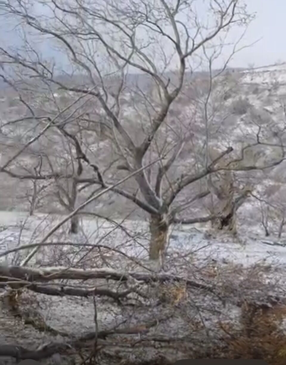 Nazillide Zirveler Beyaza Burundu 642554 2F68Eae4B96D1E95338A719356009D2C