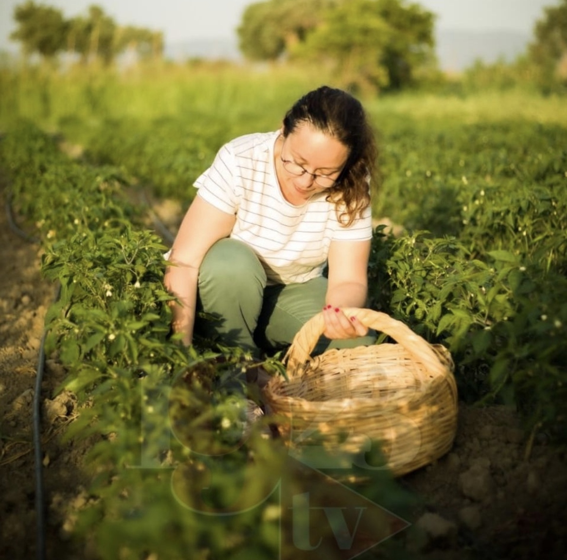 Soke Ovasinda Turkiyeye Pestisitsiz Devrim 641833 A6B8B1B826Cf3156B60885Af1Fc8104E