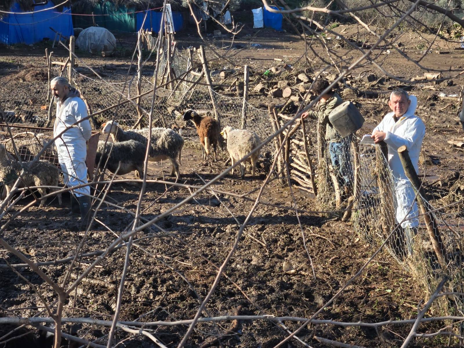 Sokede Afetin Bilancosu Cikarildi 635912 9Db9E3395537718D85E3F17Efe89Efa2