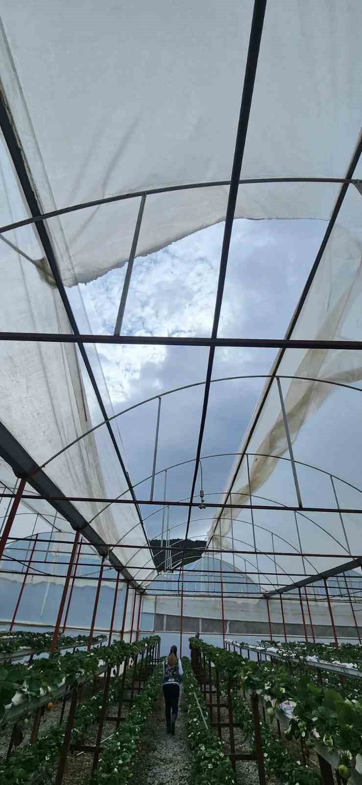 Sokede Asiri Yagislar Sonrasi Tarim Alanlarinda Hasar Tespiti 249098Ac65199D0A00F282132Bf8B9Ed