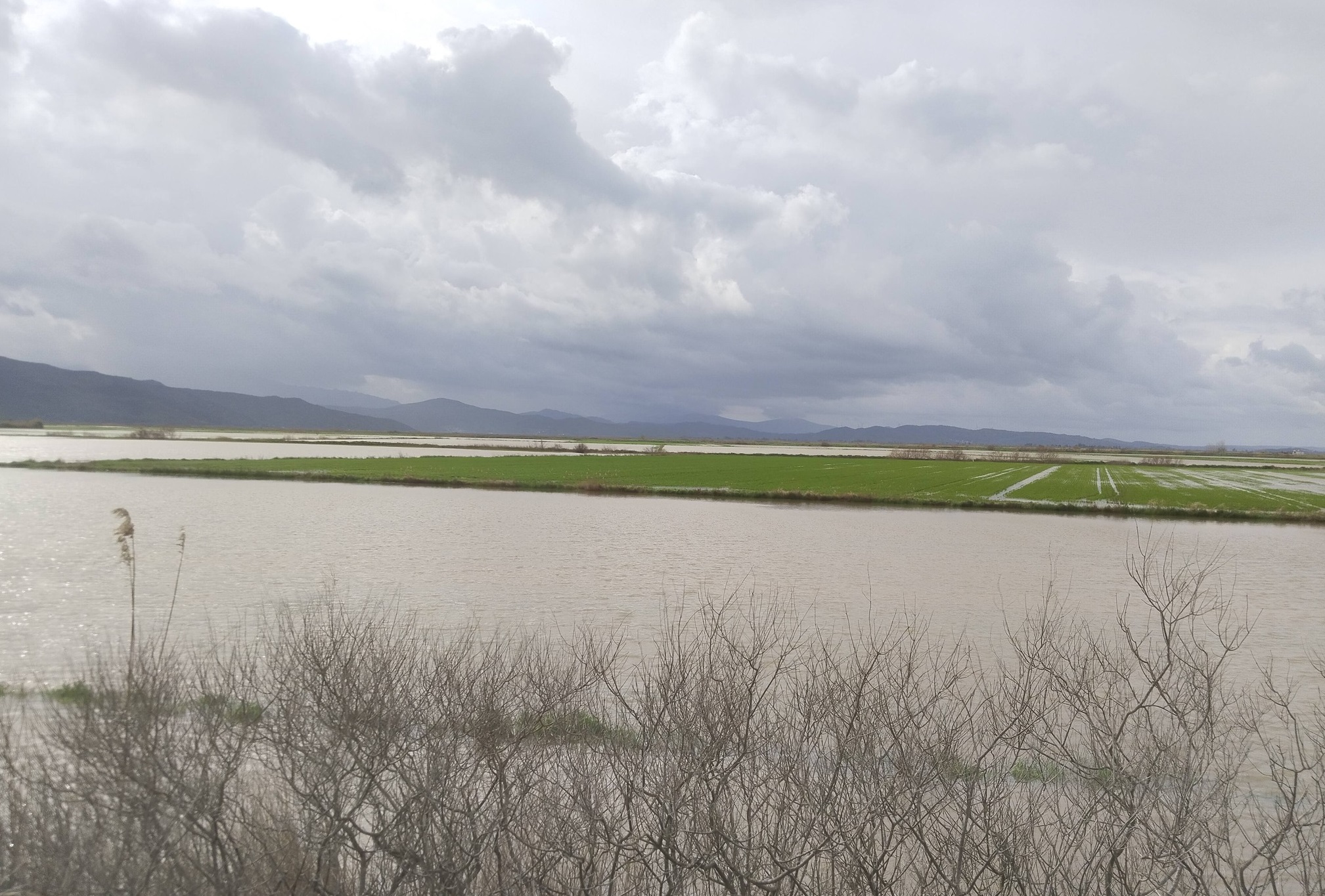 Sokede Mahalleler Tahliye Edildi Ova Denize Dondu 639770 9Faf1B8D6Aef4Ec61E9D8B8Def112832