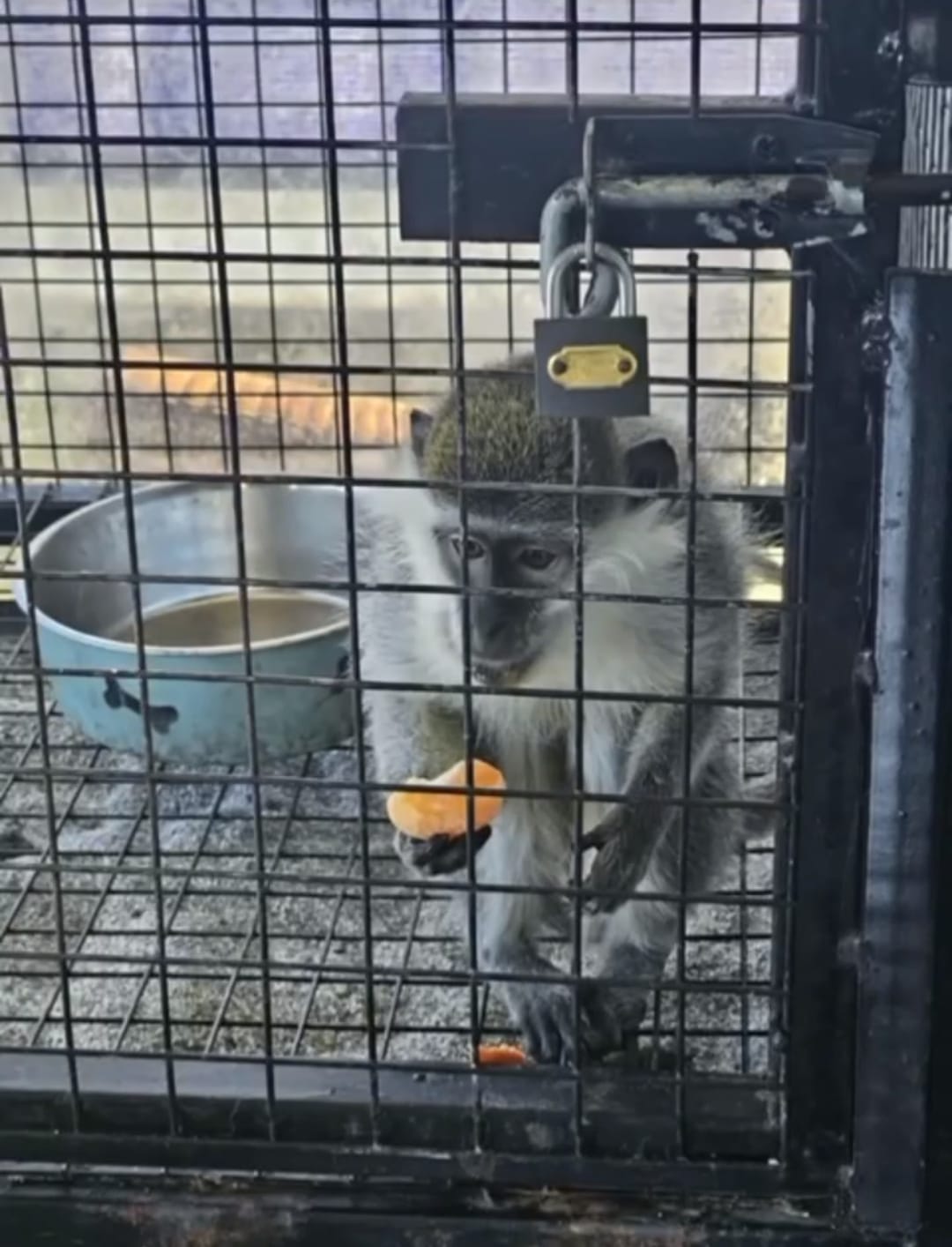 Whatsapp Image 2026 02 04 At 19.22.36 (1)