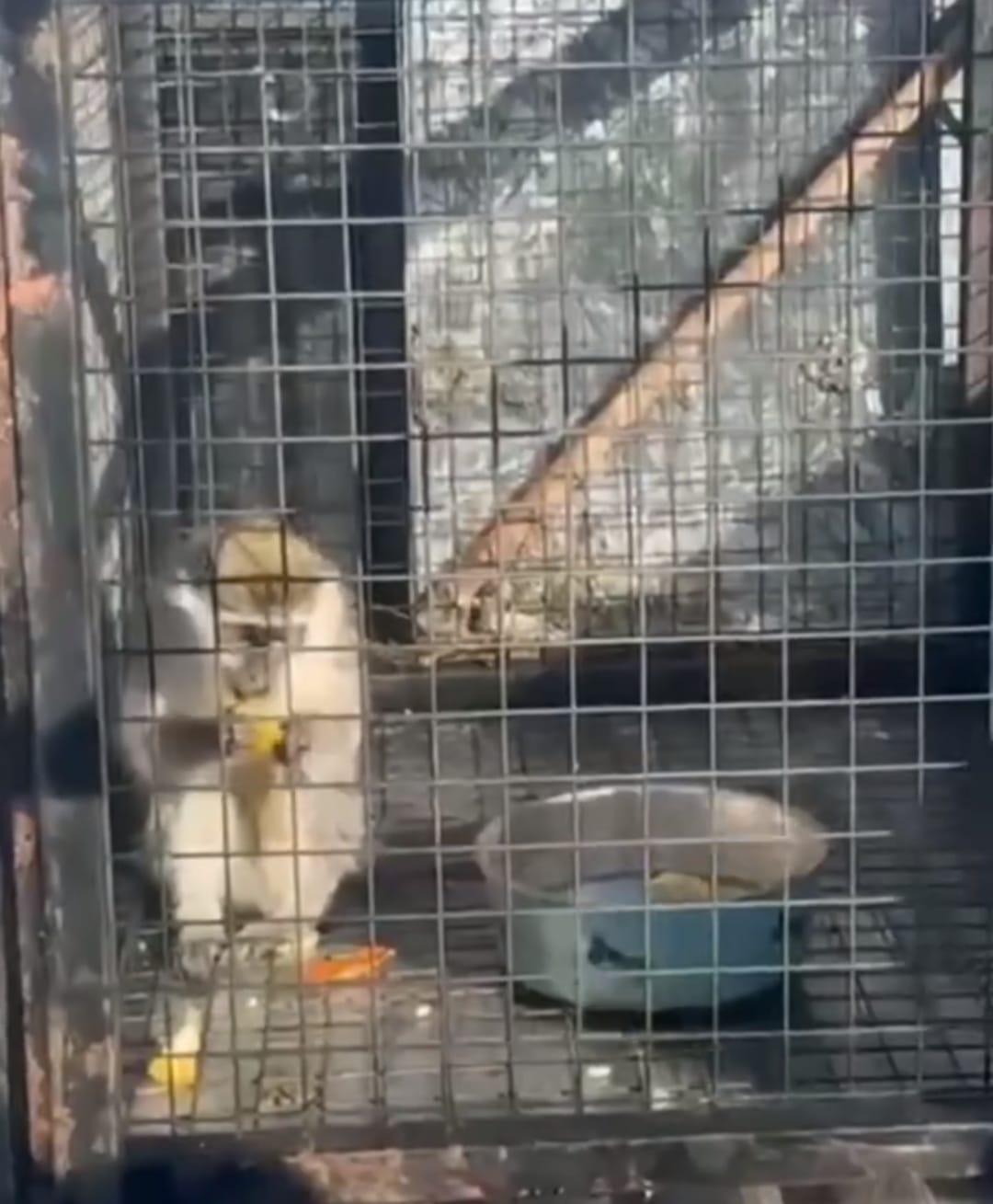 Whatsapp Image 2026 02 04 At 19.22.36 (2)