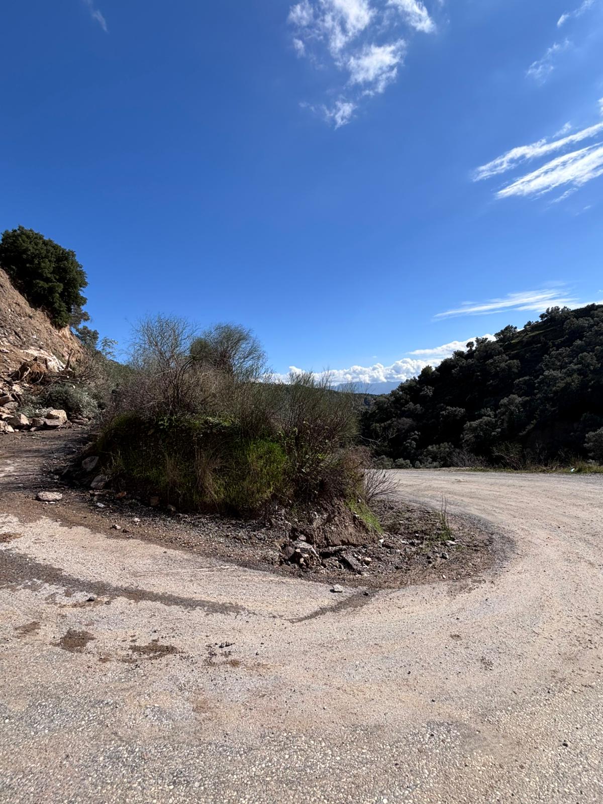 Whatsapp Image 2026 02 14 At 14.59.21 (1)