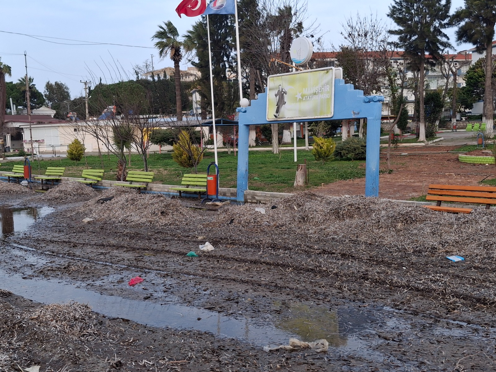 Whatsapp Image 2026 02 15 At 20.54.08 (1)