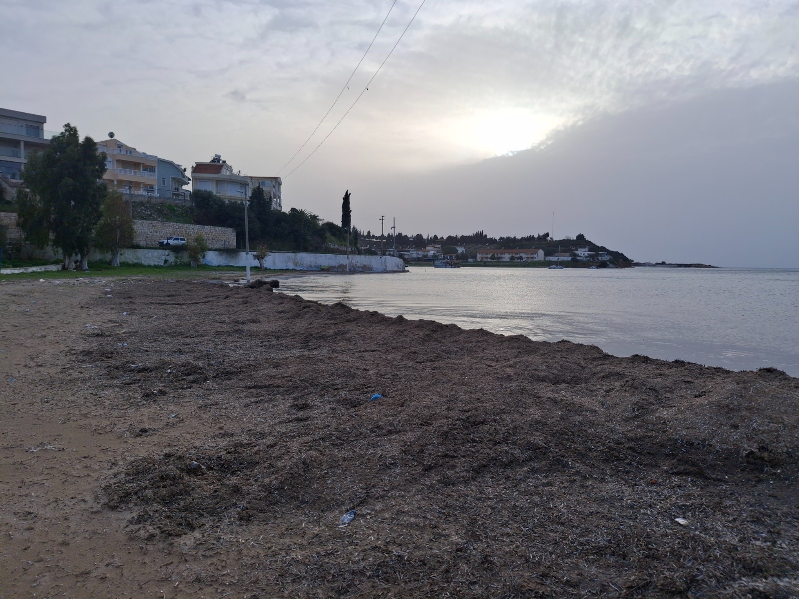 Whatsapp Image 2026 02 15 At 20.54.08