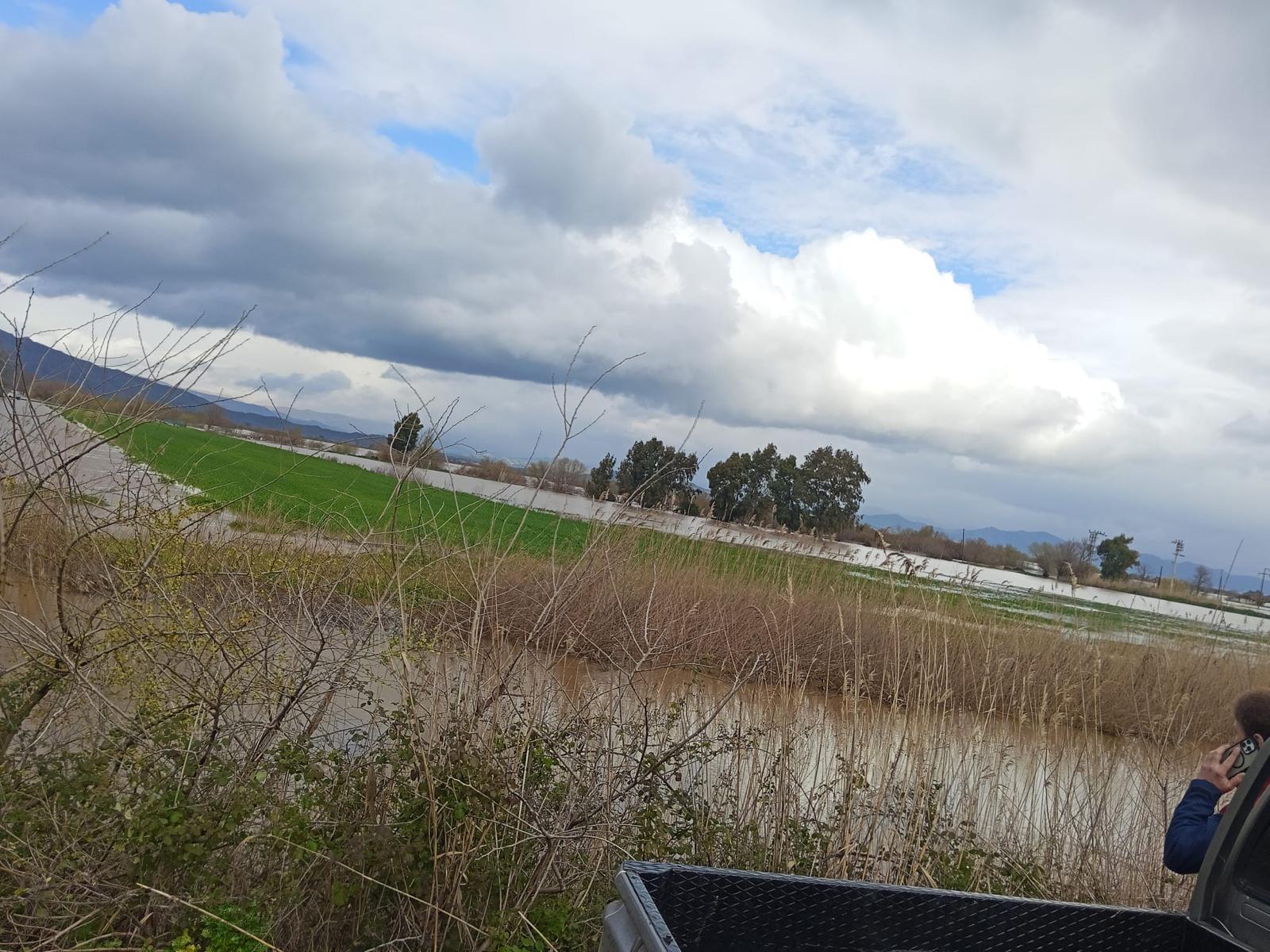 Whatsapp Image 2026 02 18 At 16.01.08 (1)