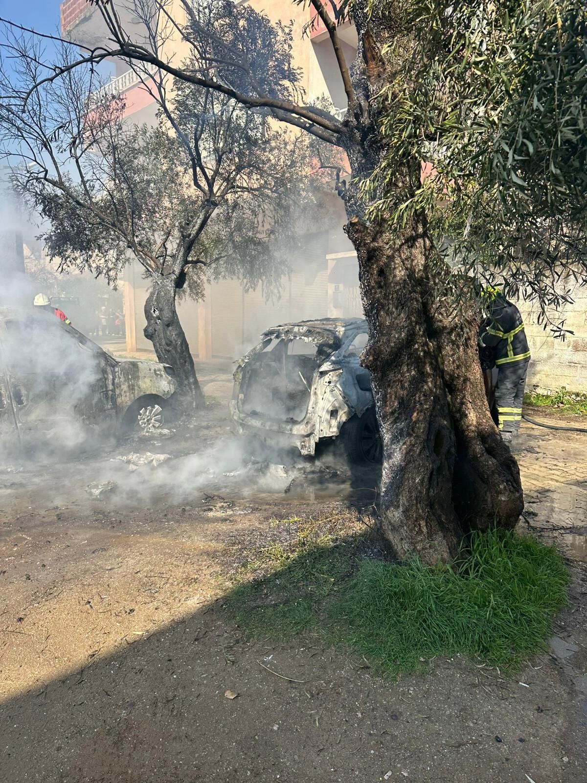 Whatsapp Image 2026 02 28 At 14.49.22 (1)