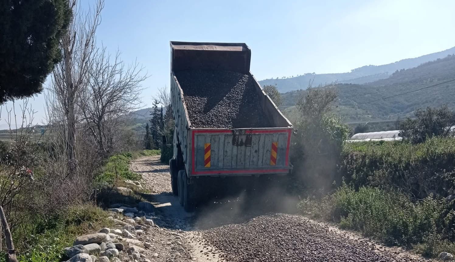 2920Bf1F Cf58 433F 81Da 9C6C701B8D34