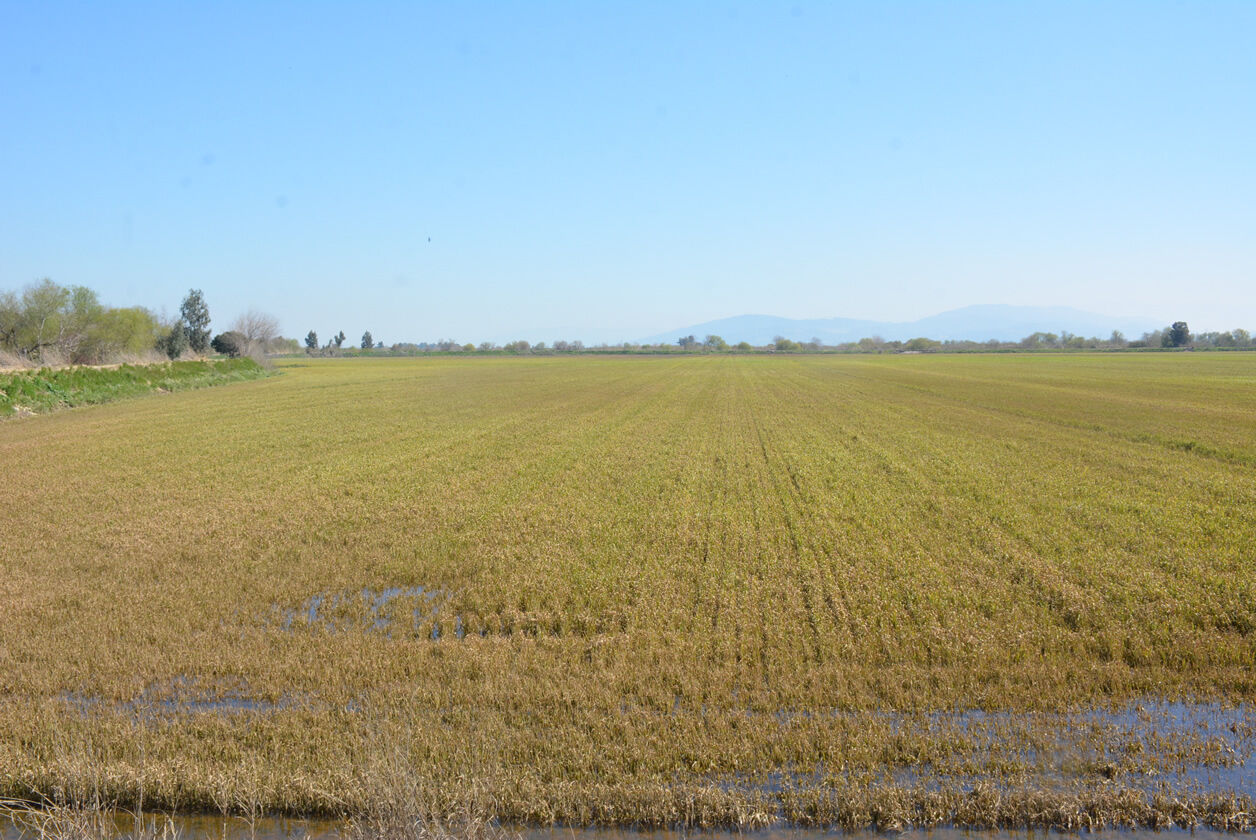 A 644189 284Af1E405125Ff0D47E540295C4560B