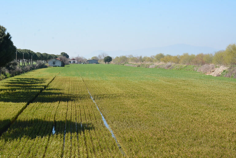 A 644189 7B1D628B655735Ae5707D78F1Efd4F56