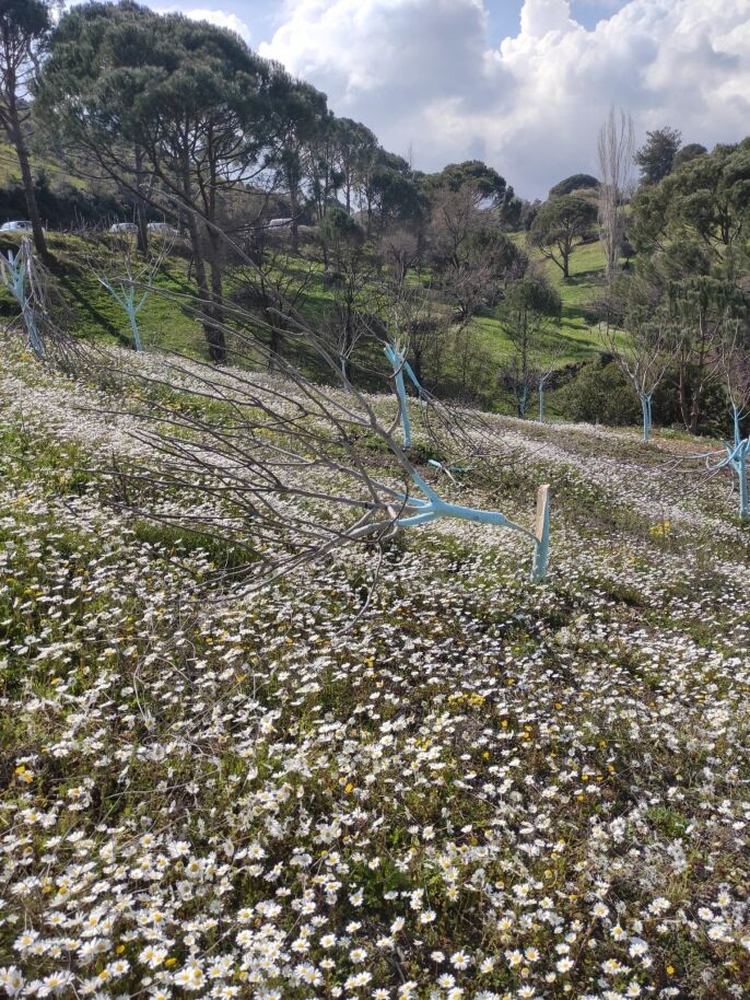 A 649881 1D9F5E4E45A69F68E9Db153Ae9A6Dff1