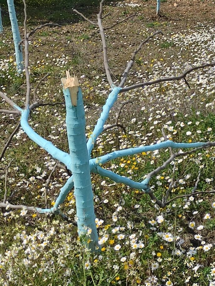 A 649881 A3D8Ad5F4B2Ea6357E061B5359054C5C