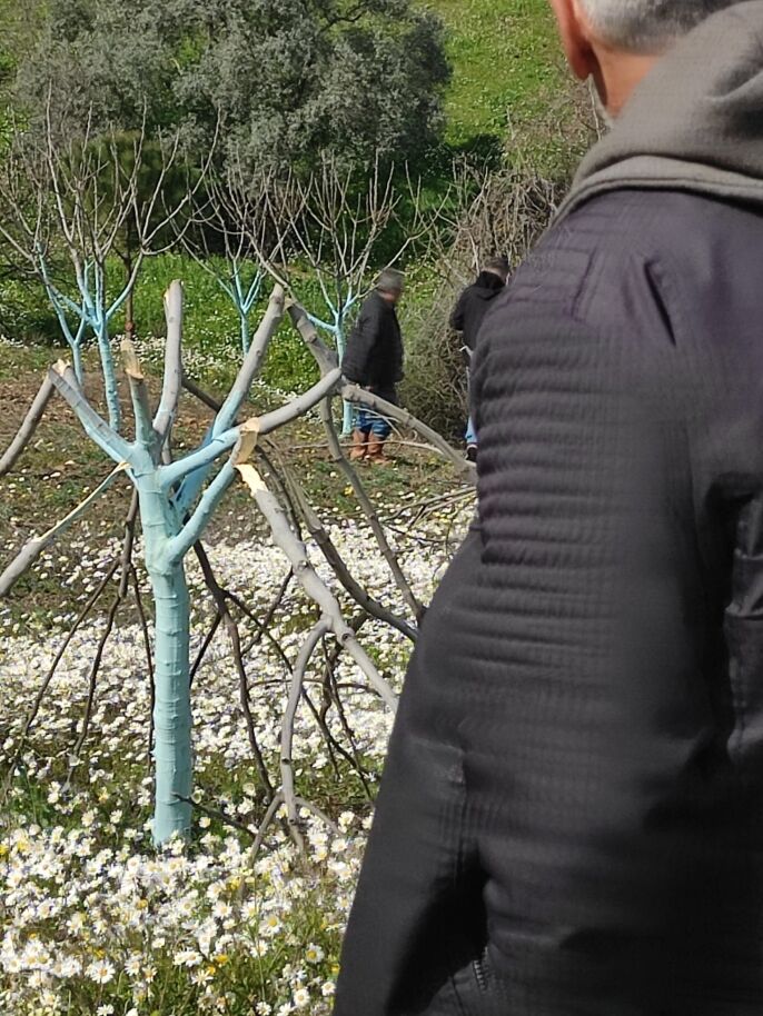 A 649881 C5A21B0Dacd59684788600923Cd100F8