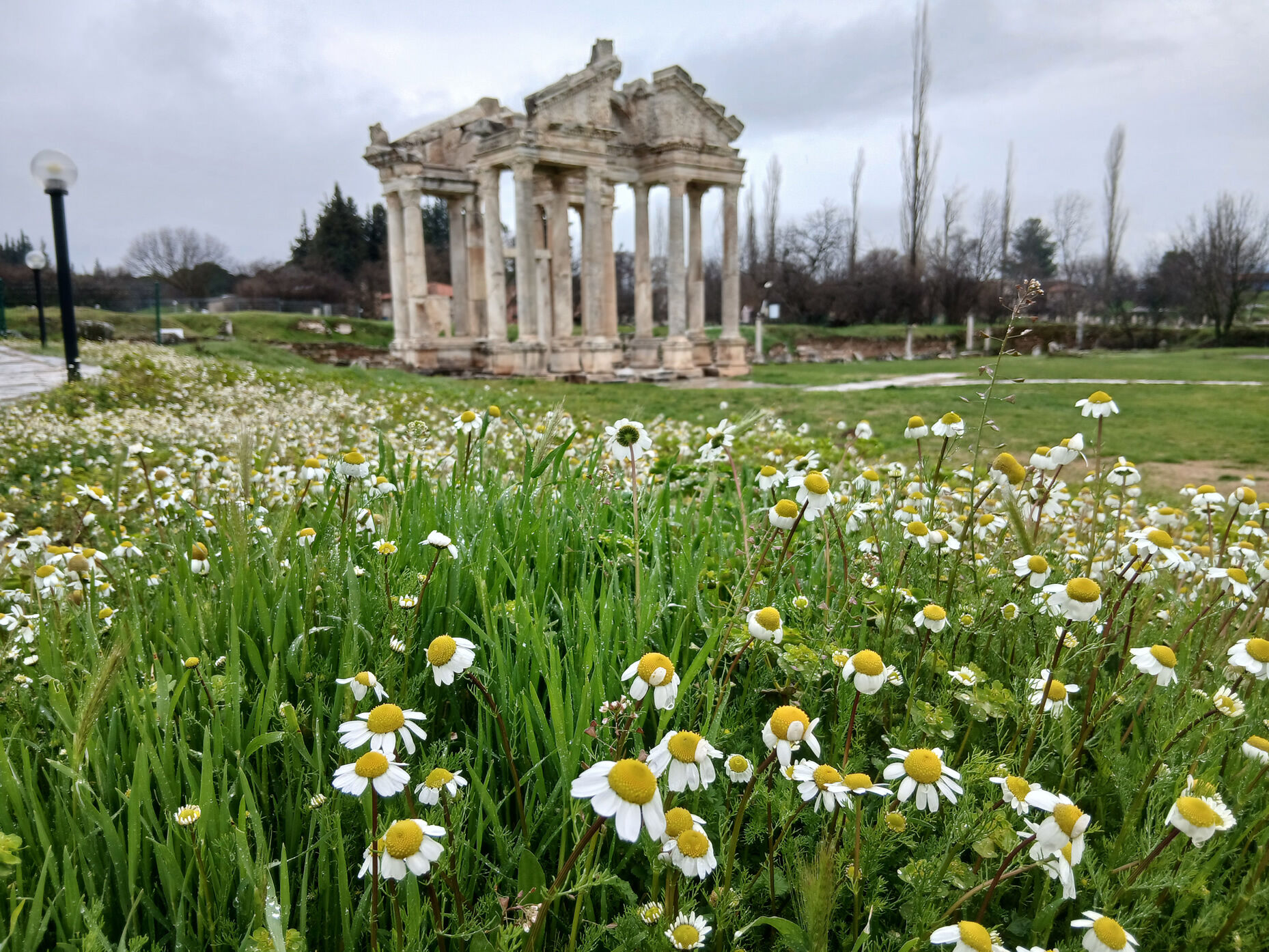 Afrodisiasa Bahar Geldi 647518 9C833C2946Bbb45Fcff10E2B9C1644F2