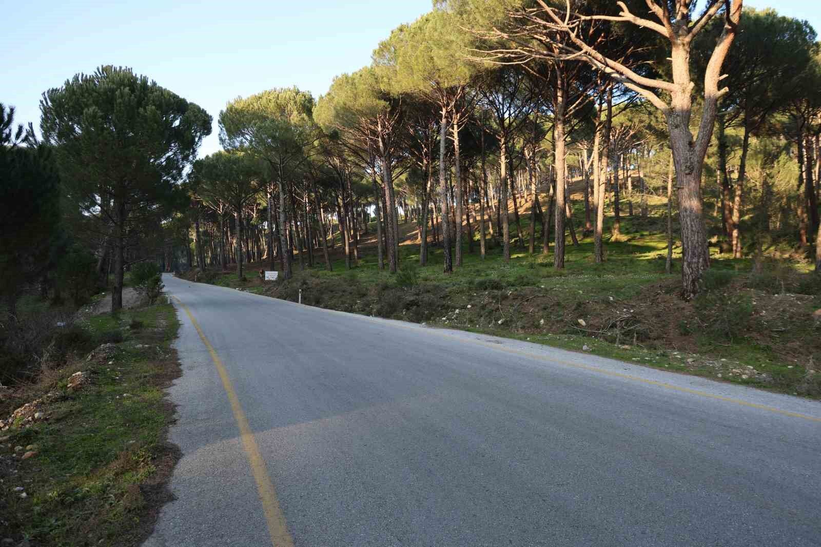 Altin Degerindeki Kunara Kamerali Onlem 26D67C1C5A9366C28456F7B9Ada6Da55