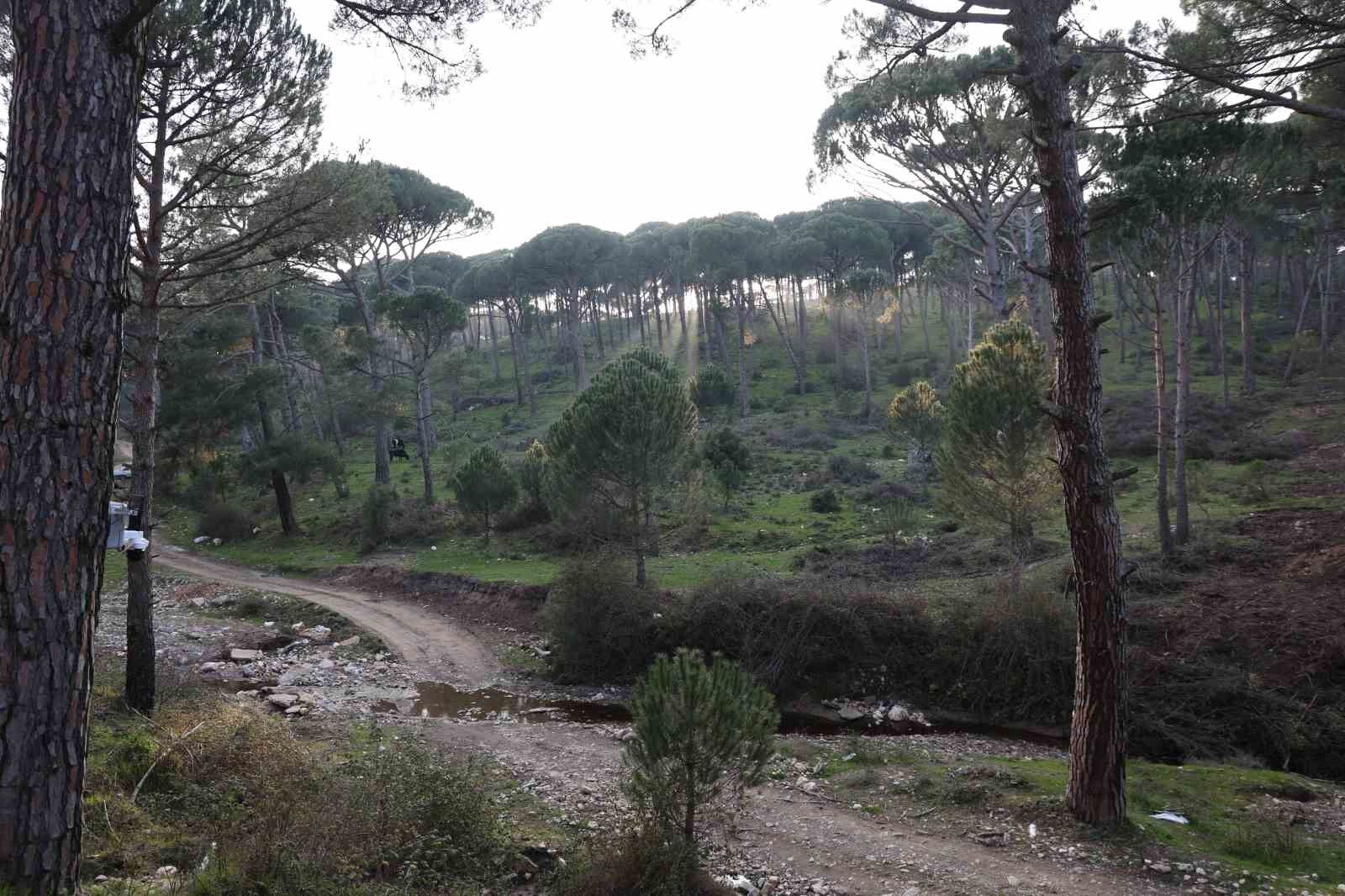 Altin Degerindeki Kunara Kamerali Onlem 5A76B6Dba0F9C3A0Fa3D371Fb41F7B29