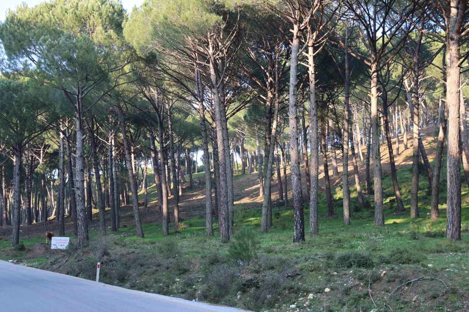 Altin Degerindeki Kunara Kamerali Onlem F0D59F84D5Ea75E144D7B1089A3E5F27