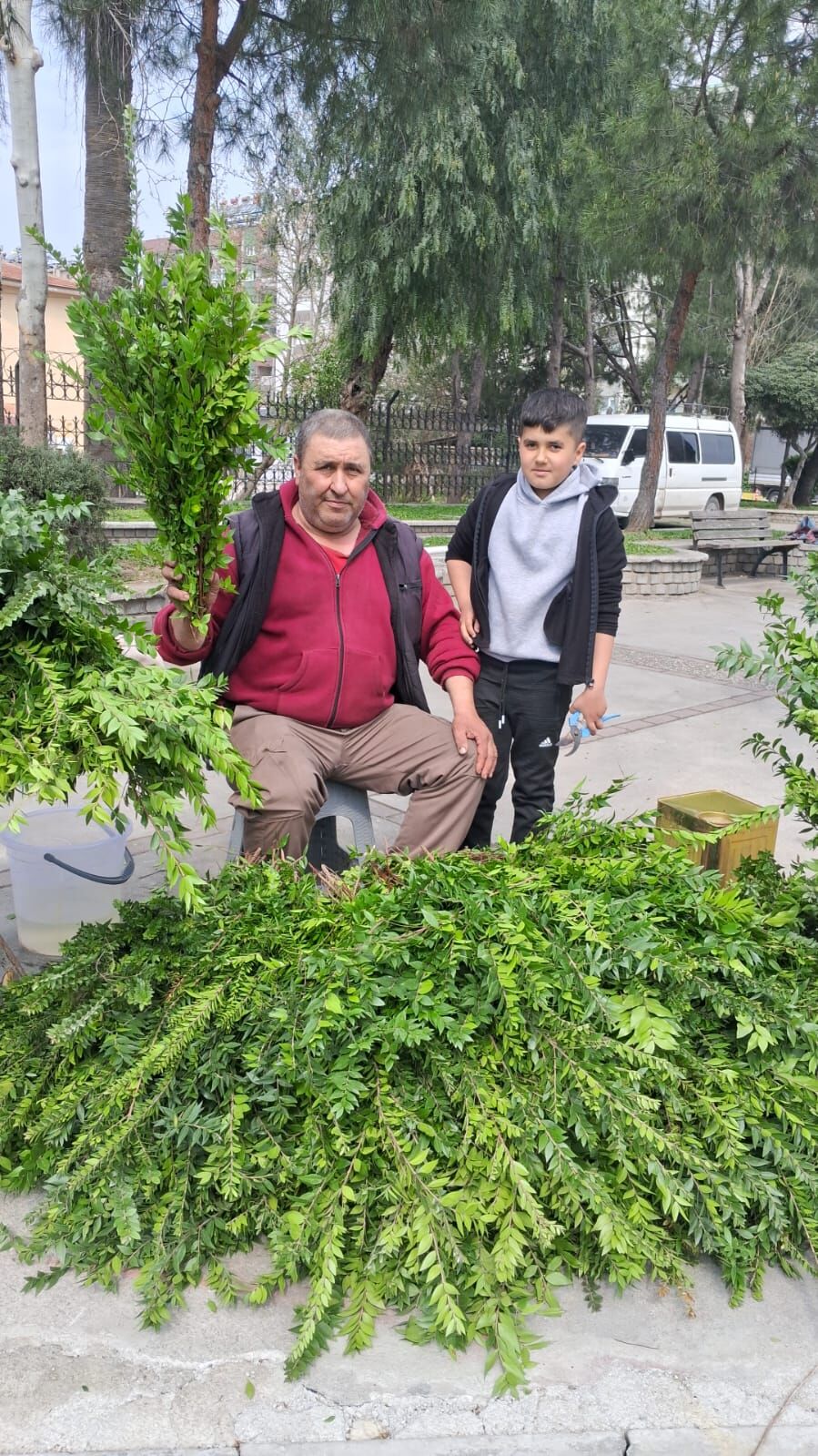 Aydin Daglarinda Yetisiyor Koylunun Kazanc Kapisi Oldu 648538 6Ea2490C4E7A00Bdcb5C4Bf30543D1A2