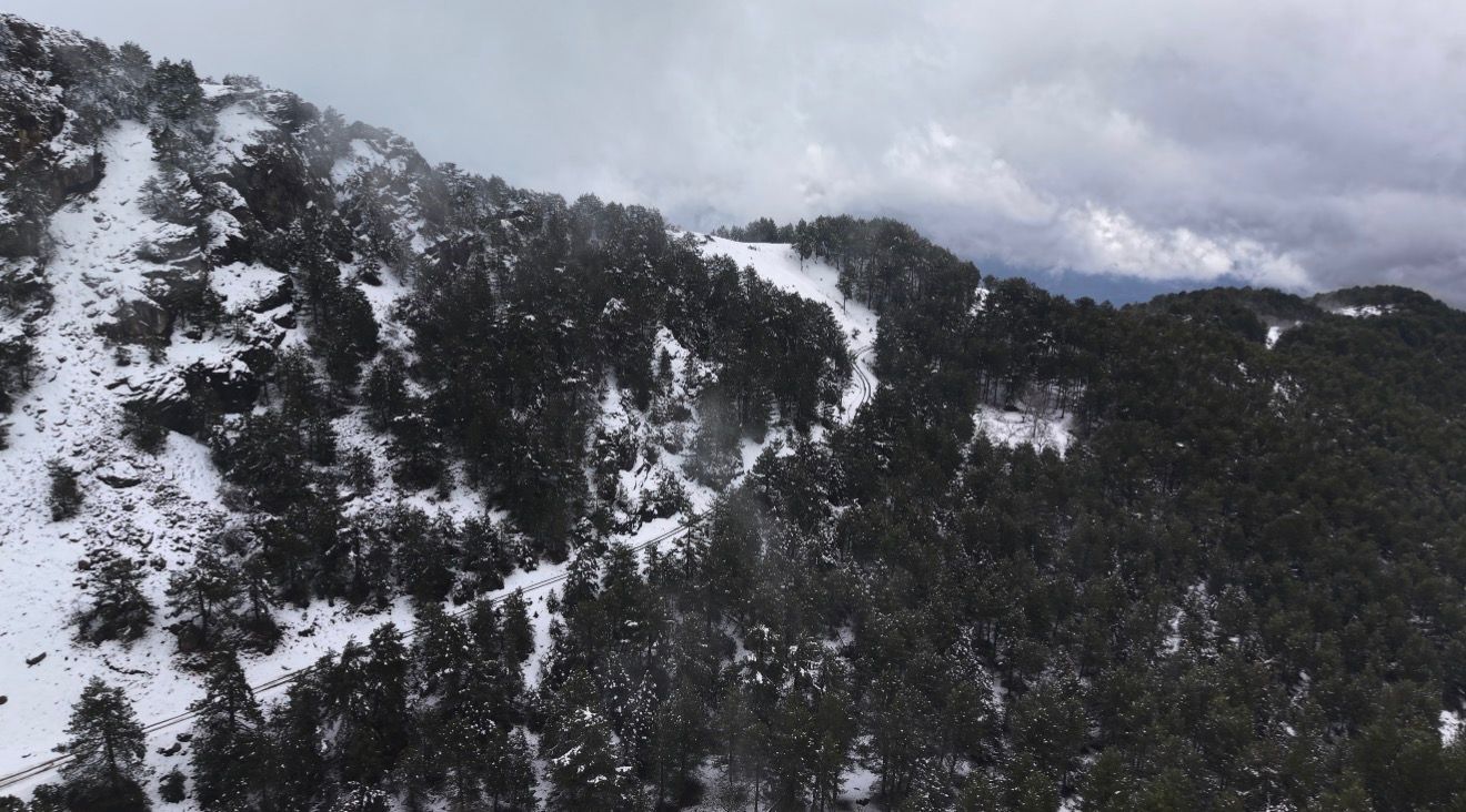 Aydina Bahar Ayinda Kis Surprizi 4F5F1Da78E486E040955367C5316398F