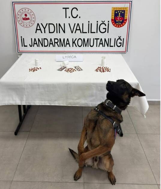 Aydinda Buyuk Temizlik Torbacilara Safak Operasyonu 648094 6D60F4Ae5615E958648B281Eb0Baef9A