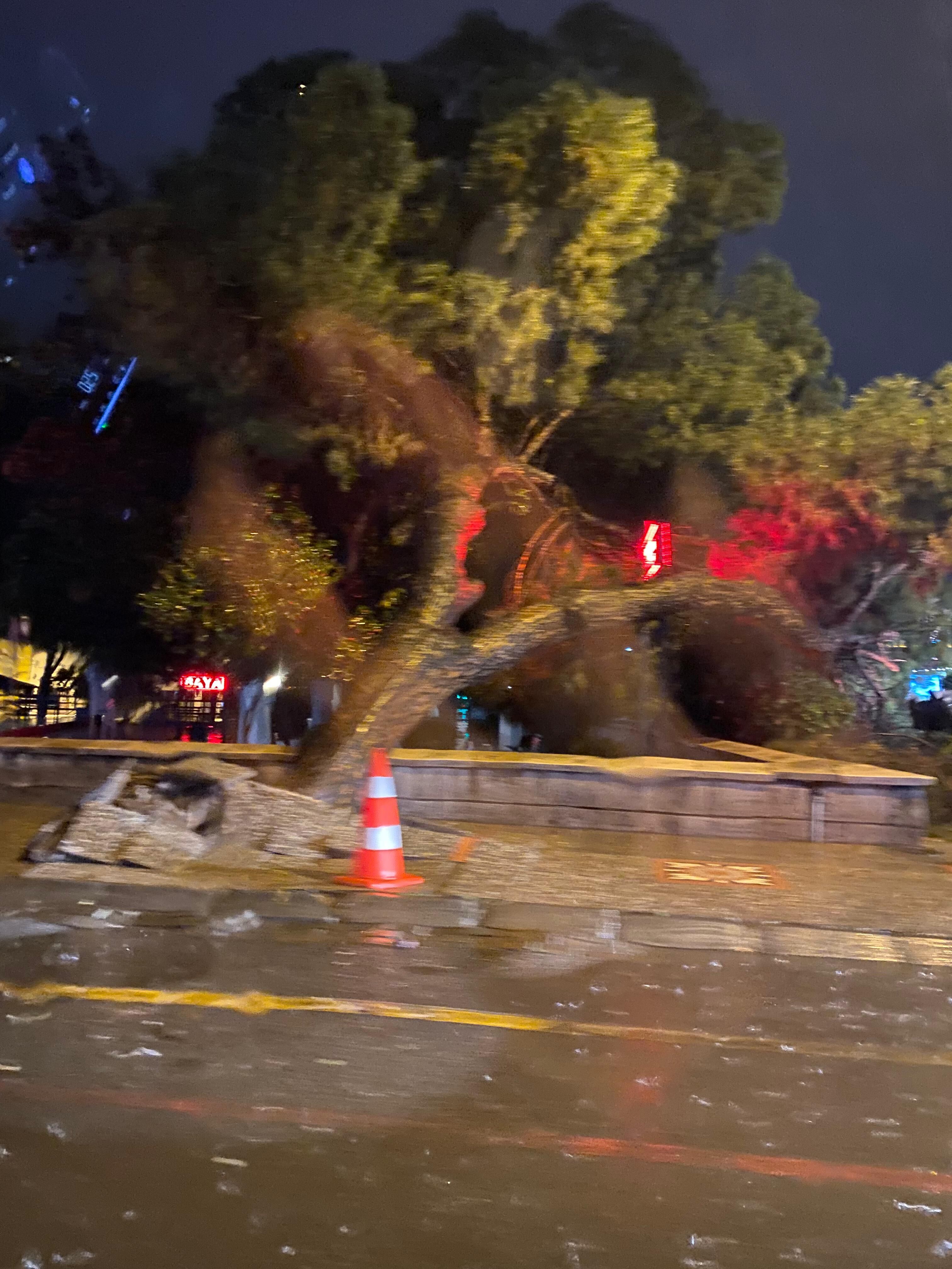 Aydinda Faciadan Donuldu 650682 A15981C1659Df9E457B217544C35855C