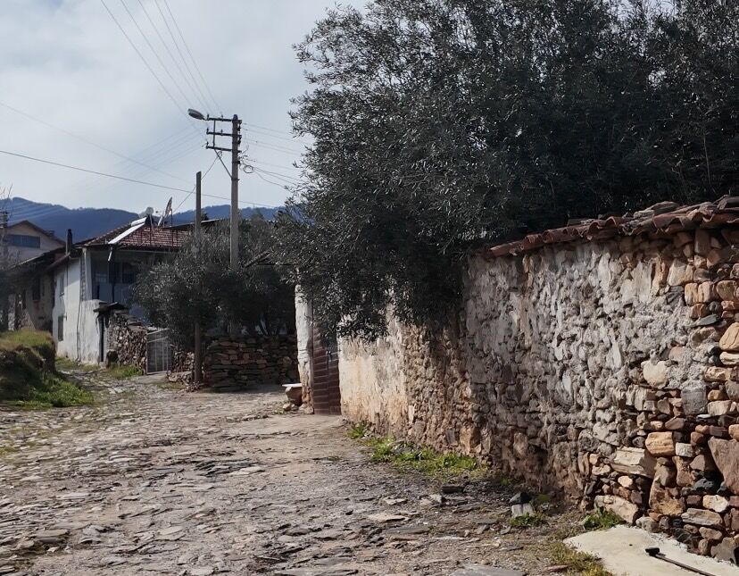 Aydinin 300 Yillik Tarihi Sokagi Delalzade Zamanda Yolculuk Sunuyor 650572 Ac1C1F2Eaea0497031Aca3588C98C53A