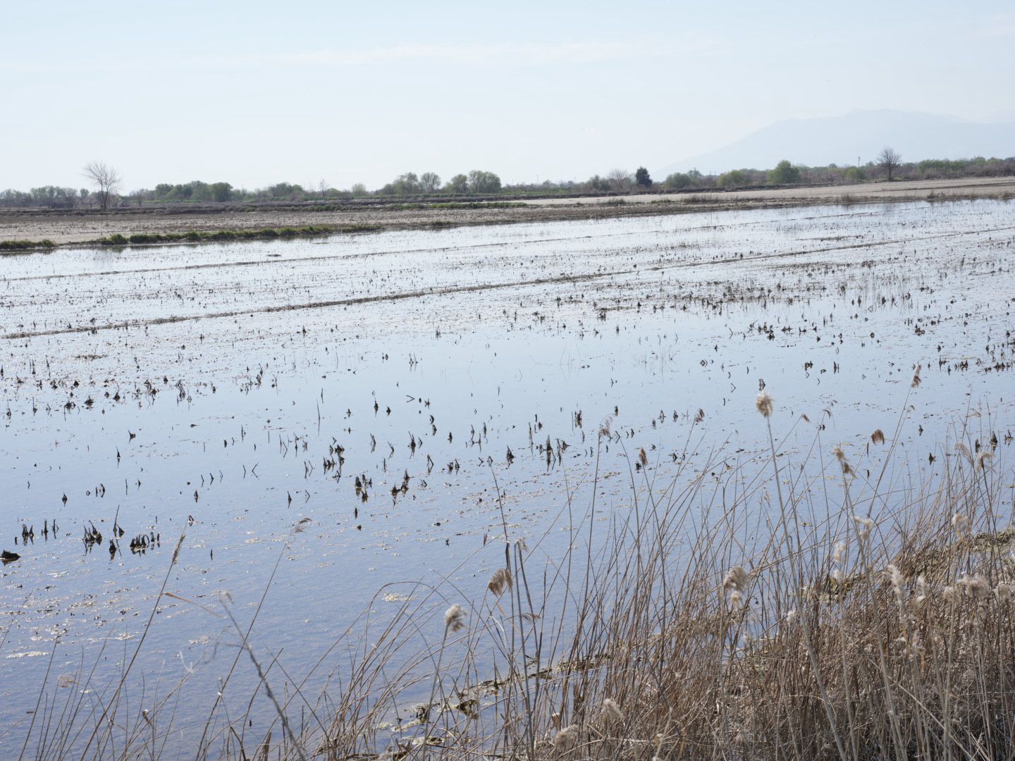 Bayraktar Afetten 165 Bin Dekar Tarim Arazisi Etkilendi 645374 8Aab579Ed1251077A1Ef1578Efd3E2B4