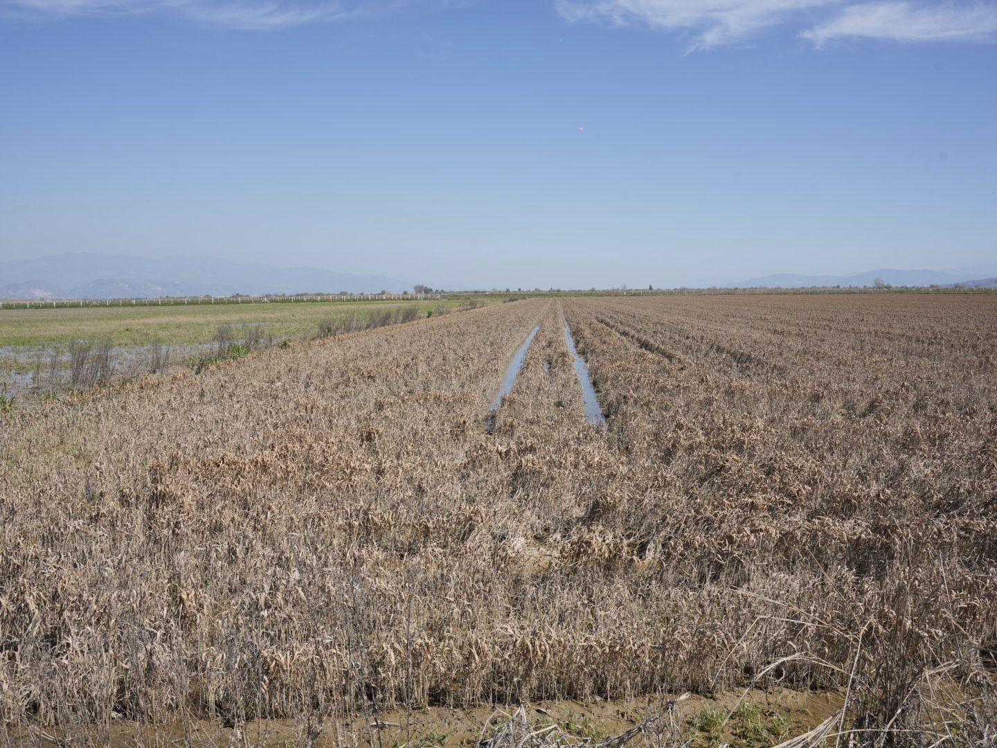 Bayraktar Afetten 165 Bin Dekar Tarim Arazisi Etkilendi 645374 Dd8C55B549Bb4330A386Fdd78C6B2B45