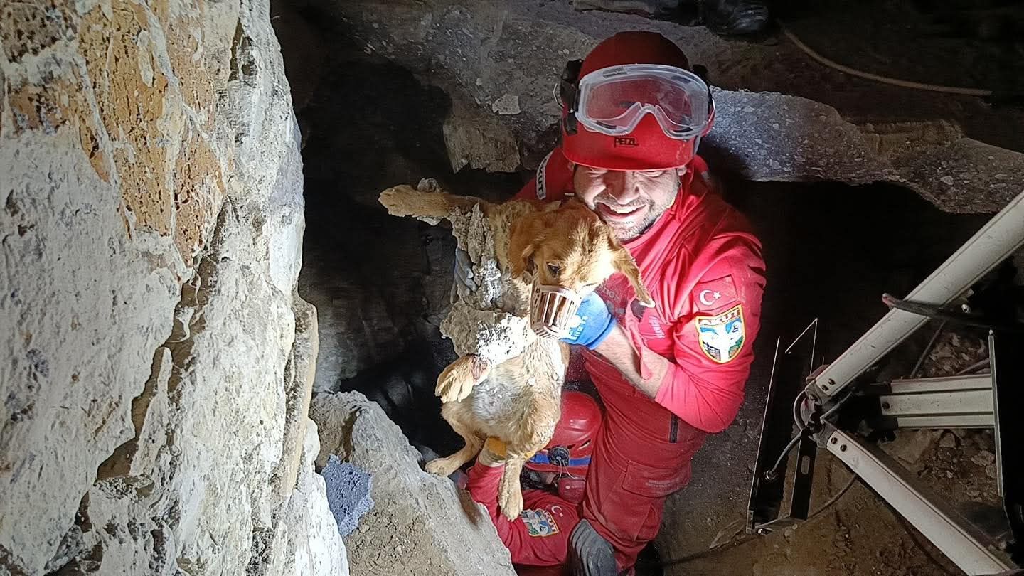 Betona Sikisan Can Dostuna Akuttan Yardim Eli 648368 41Ef3900Ea406C4Fa153Ee76442A3F0B